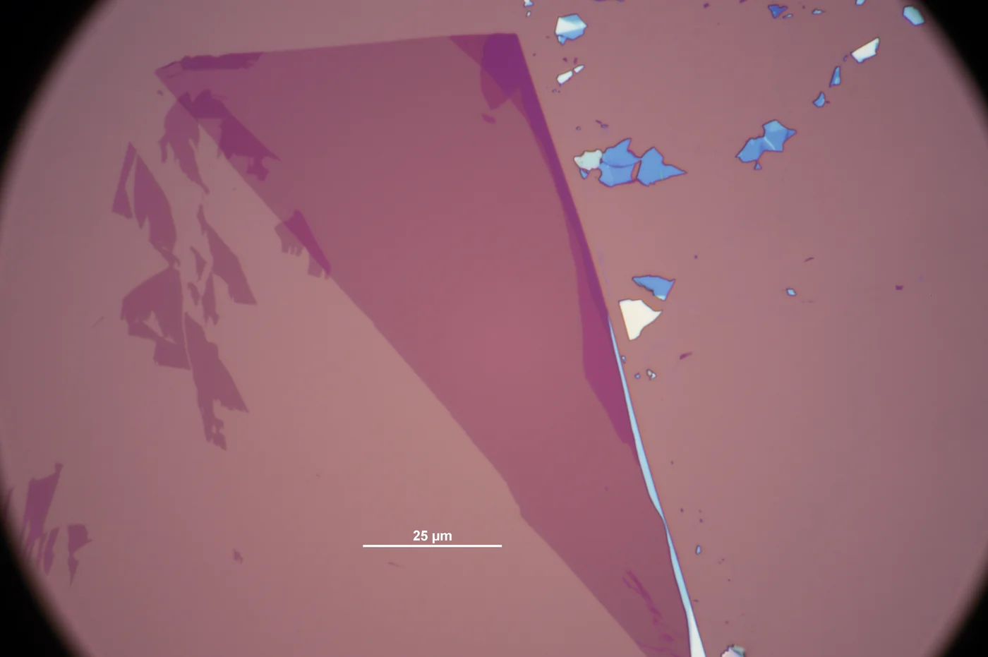 WSe₂ · Tungsten Diselenide